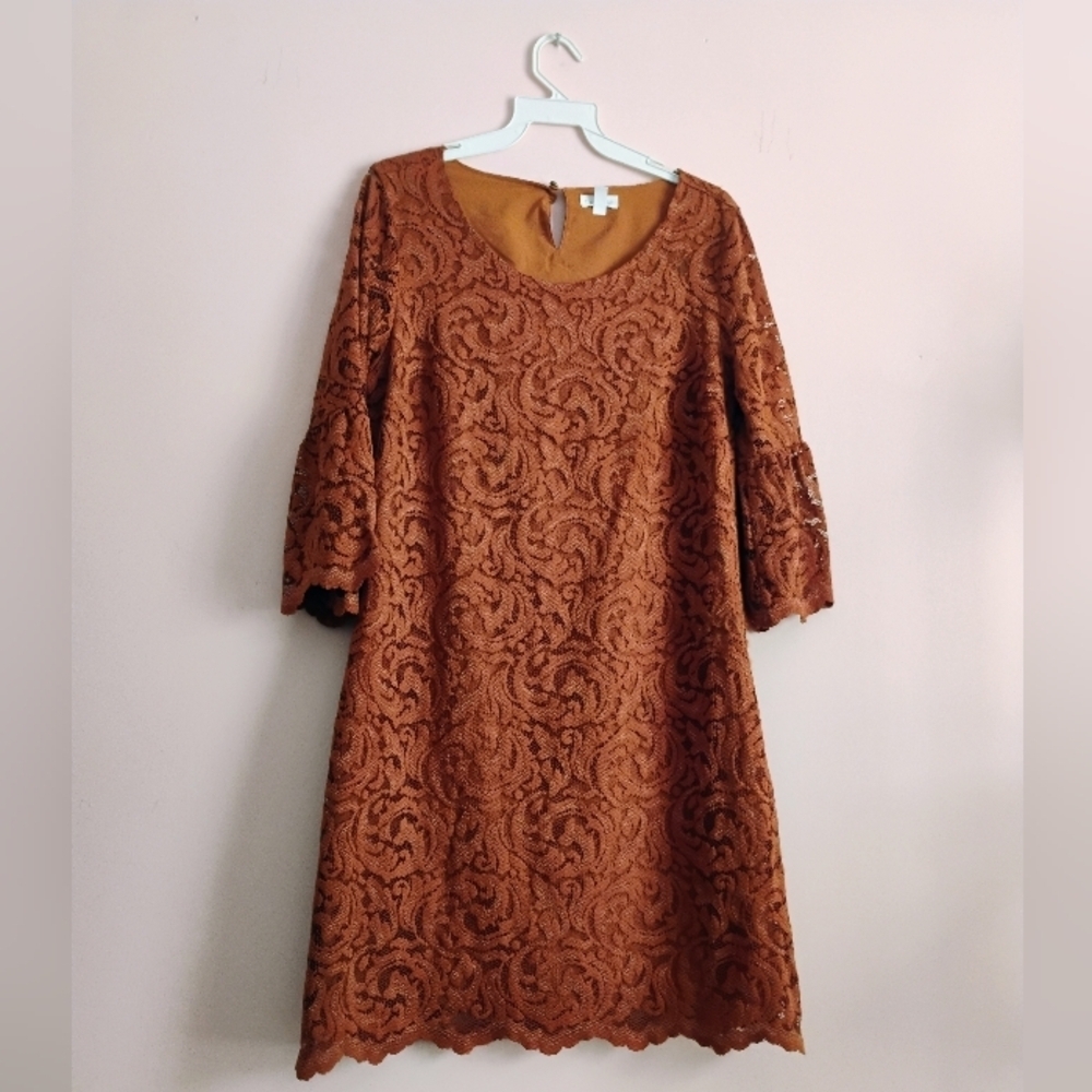 Garnet Hill Lace Dress Size 6 Rust Brown Excellent - Picture 6 of 9